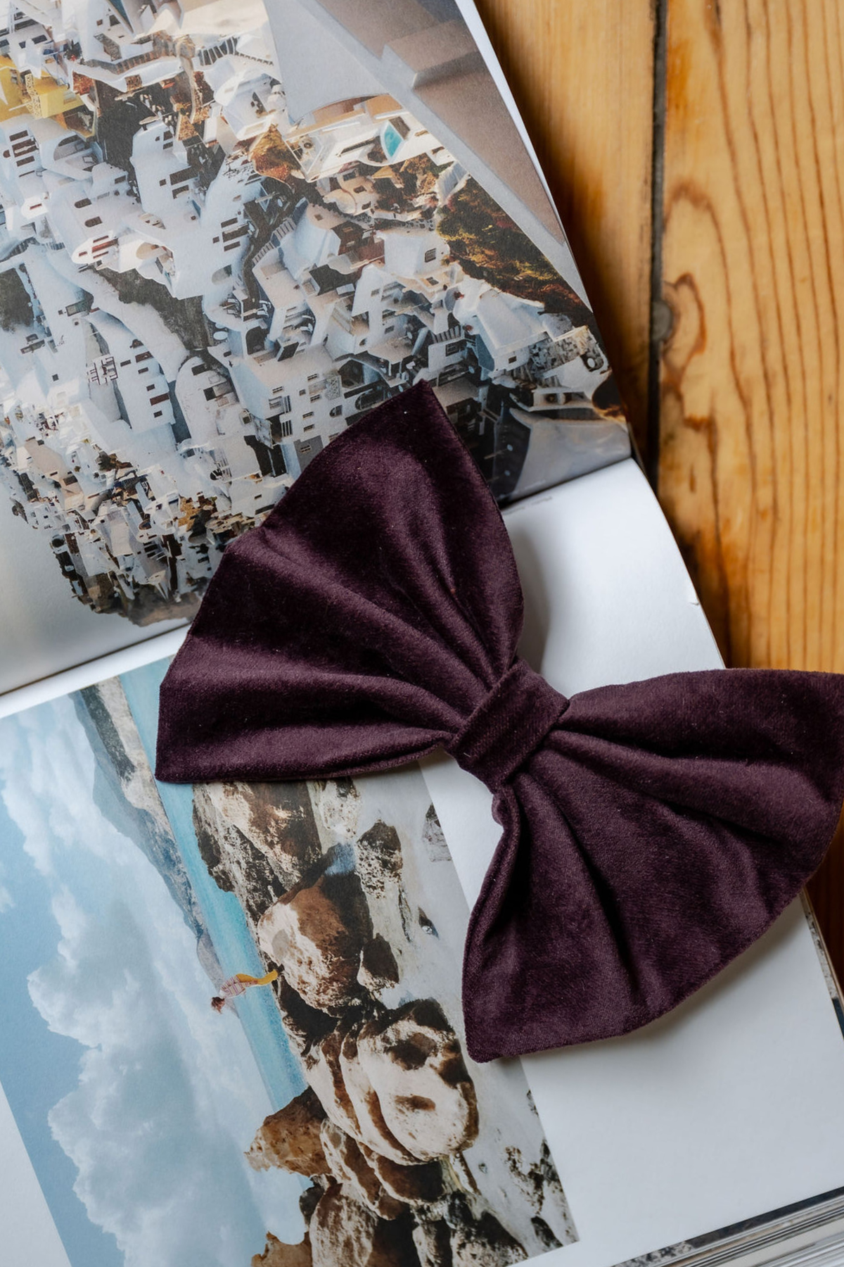 Barrette bow